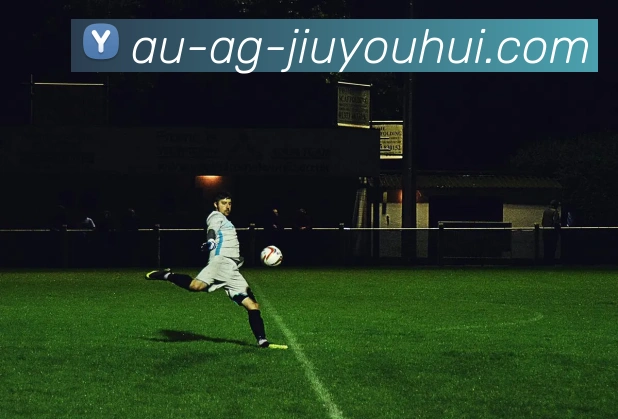 AG九游会官网平台生态图